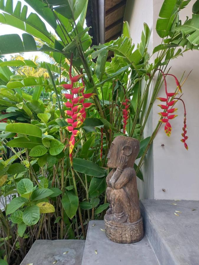 Waiara Village Guesthouse マウメレ エクステリア 写真
